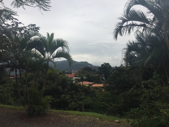Palm trees and red-roofed buildings on a green hillside under low cloud